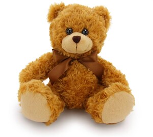 Valentines Bear